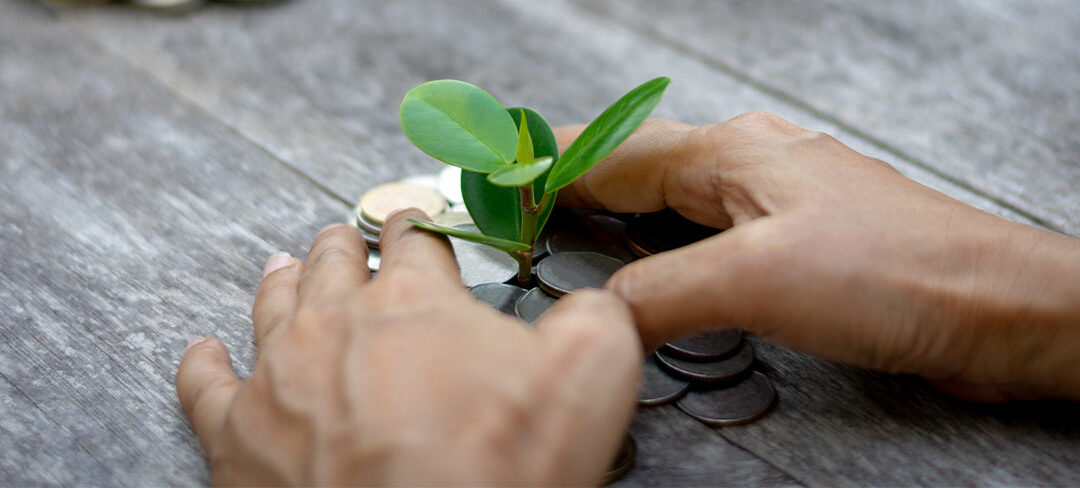 Who is in charge of your money?