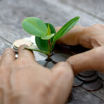 Who is in charge of your money?